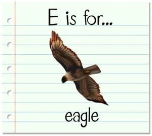 names of eagles